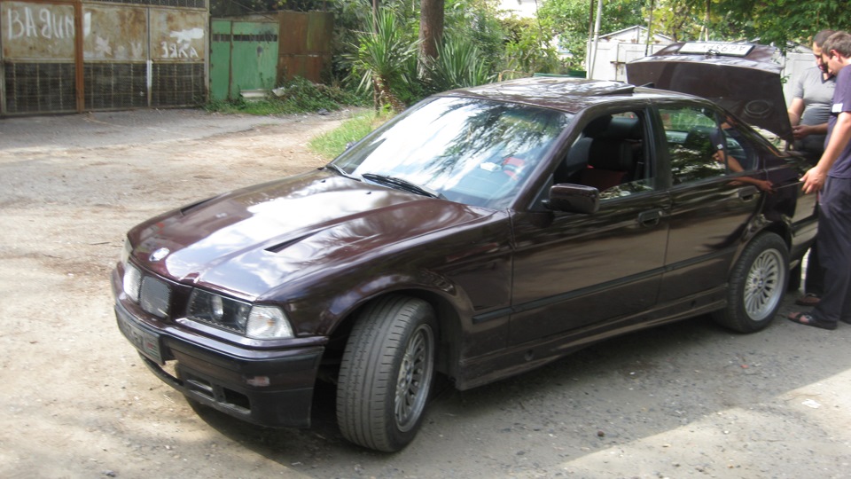 BMW 3 series ласточка