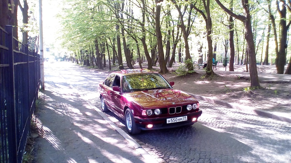 Фото в бортжурнале BMW 5 series (E34)