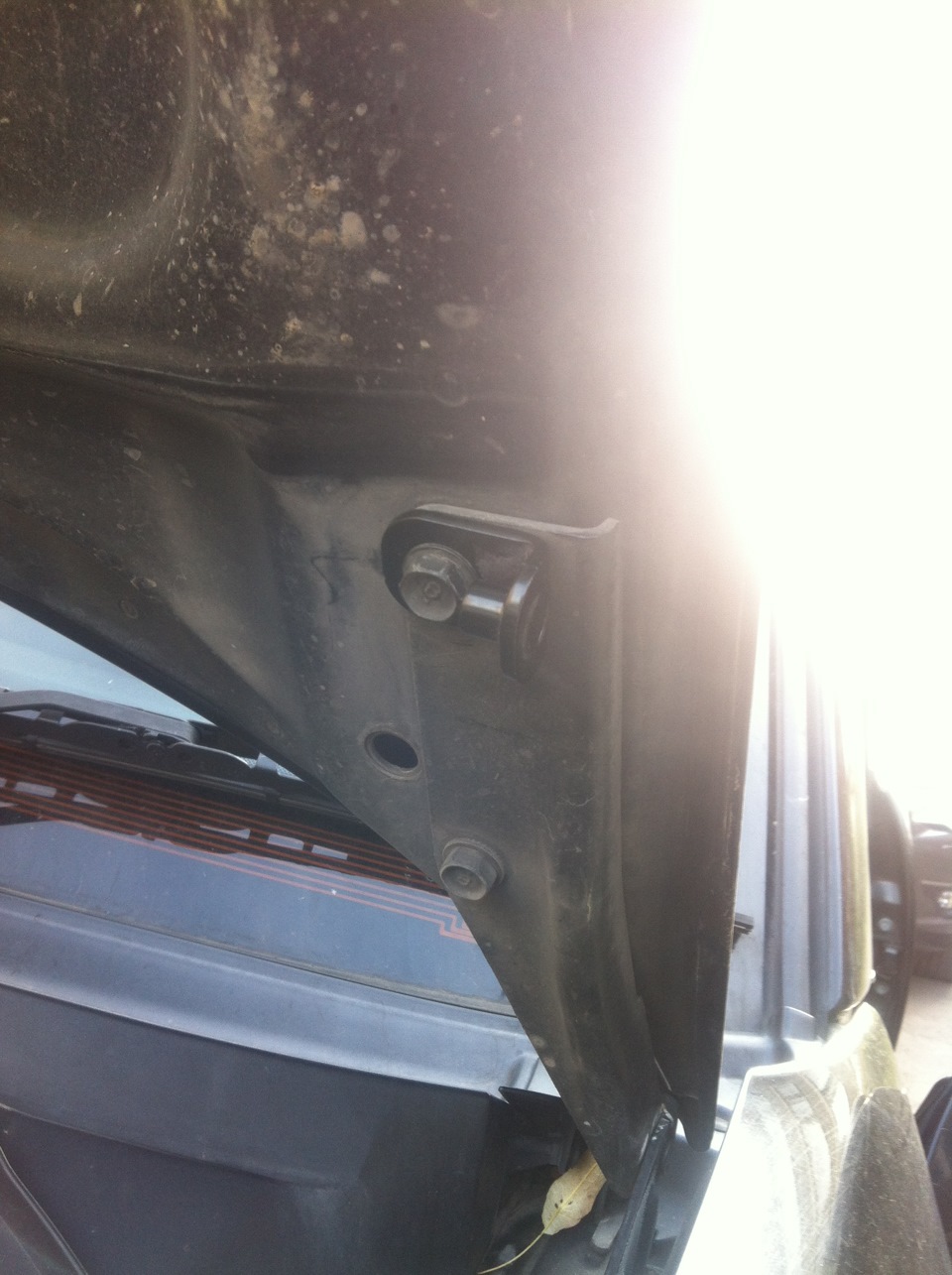 Фото в бортжурнале Subaru Forester (SG)