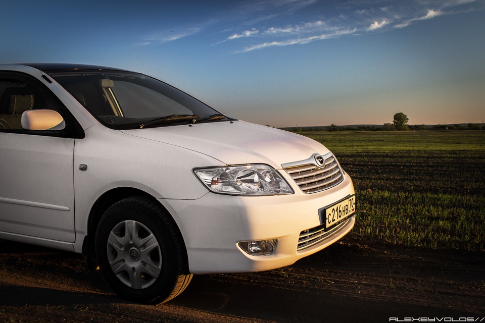 Фото в бортжурнале Toyota Corolla (120)