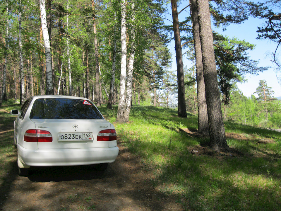 Фото в бортжурнале Toyota Corolla (110)