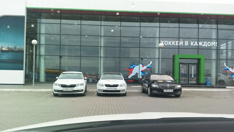 Новая Октавия стала интереснее, стильнее… Суперб восхитителен) — Skoda Octavia A5 Mk2