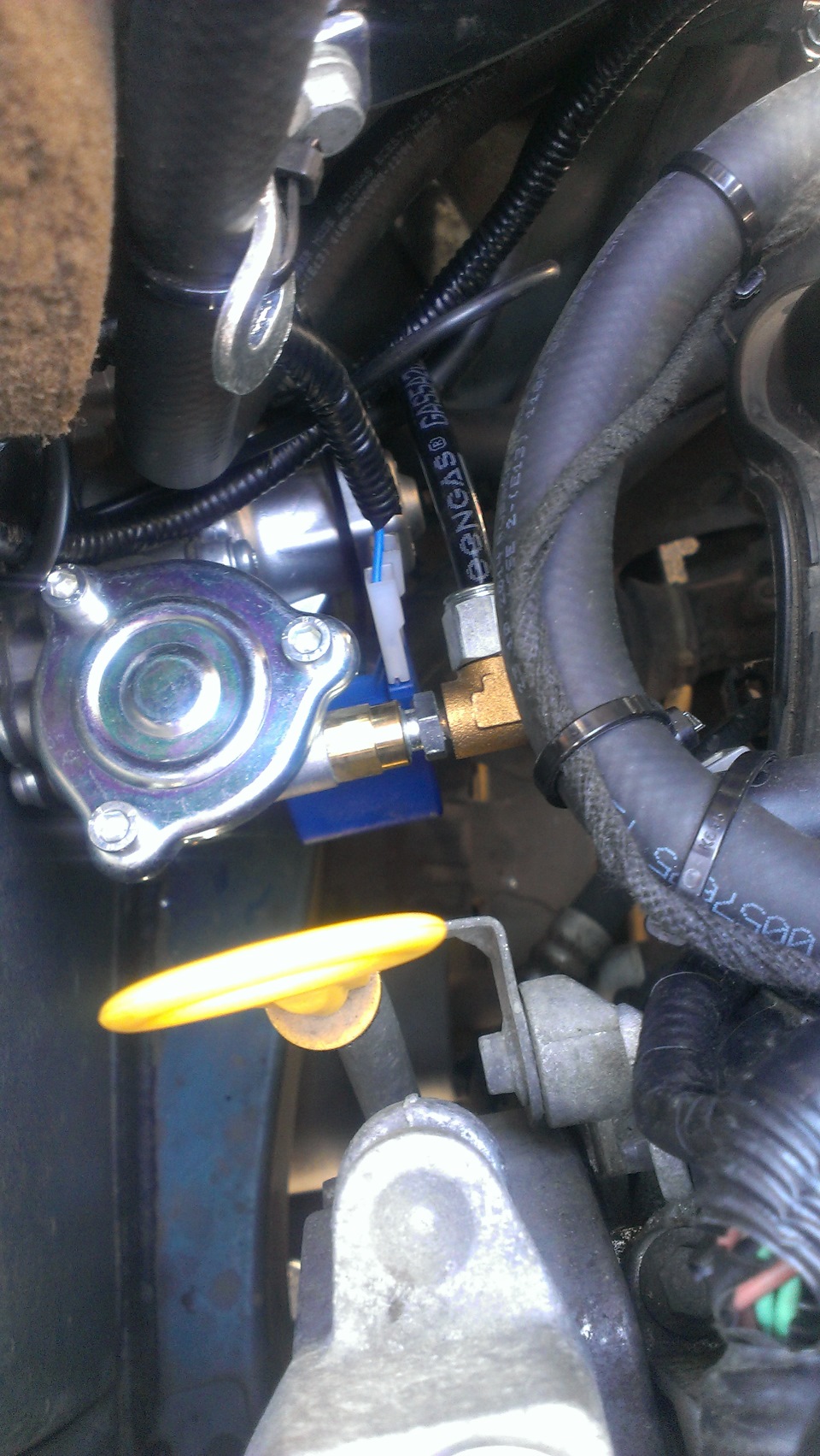 Фото в бортжурнале Renault Kangoo (1G)