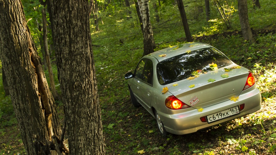KIA Spectra Бродяга