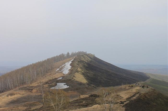 Фото в бортжурнале Lada 4x4 5D