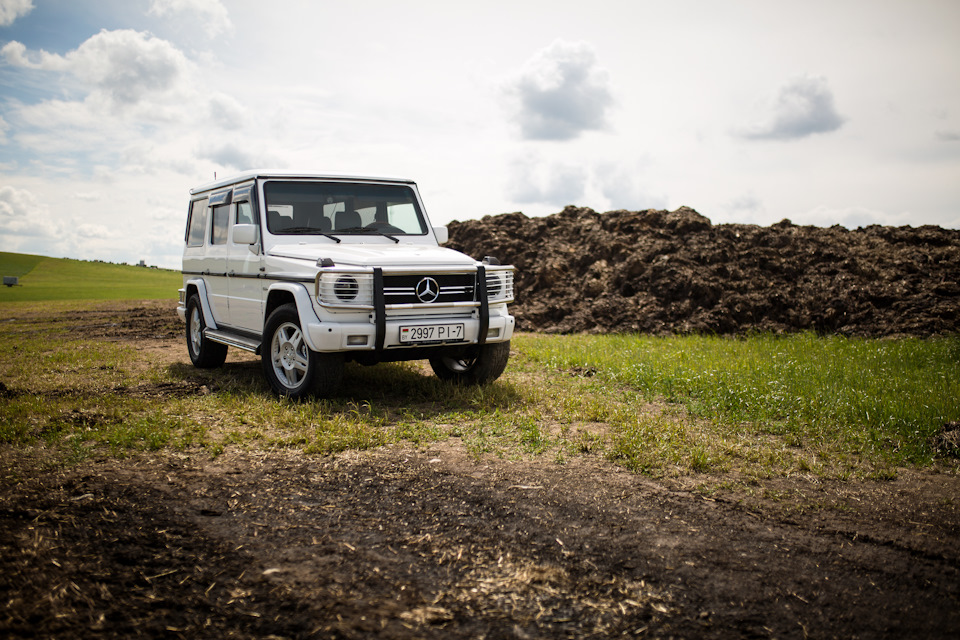 Фото в бортжурнале Mercedes-Benz G-Class (W463 1G)