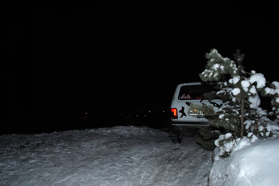 Фото в бортжурнале Lada 4x4 3D