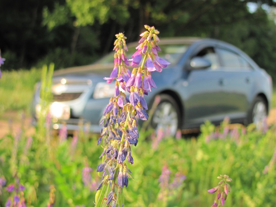 Фото в бортжурнале Chevrolet Cruze (1G)