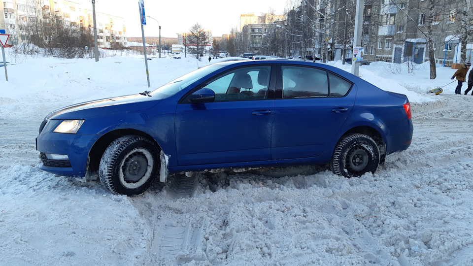 Фото в бортжурнале Skoda Octavia A7 Mk3