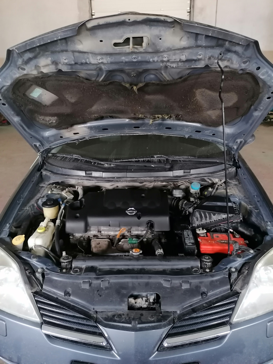 Фото в бортжурнале Nissan Primera (P12)