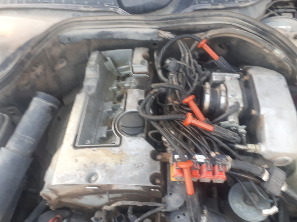 Фото в бортжурнале Mercedes-Benz C-Class (W202)