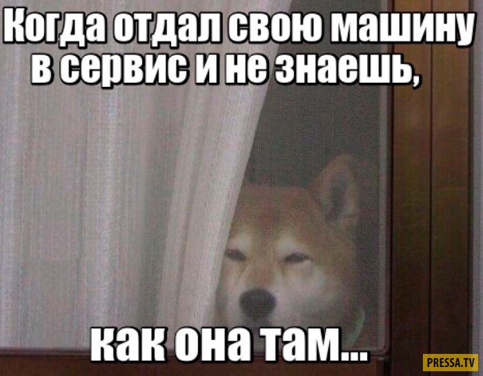 Доверил жене свозить машину в сервис а она изменила со слесарем Доверил жене свозить машину в сервис а она изменила со слесарем