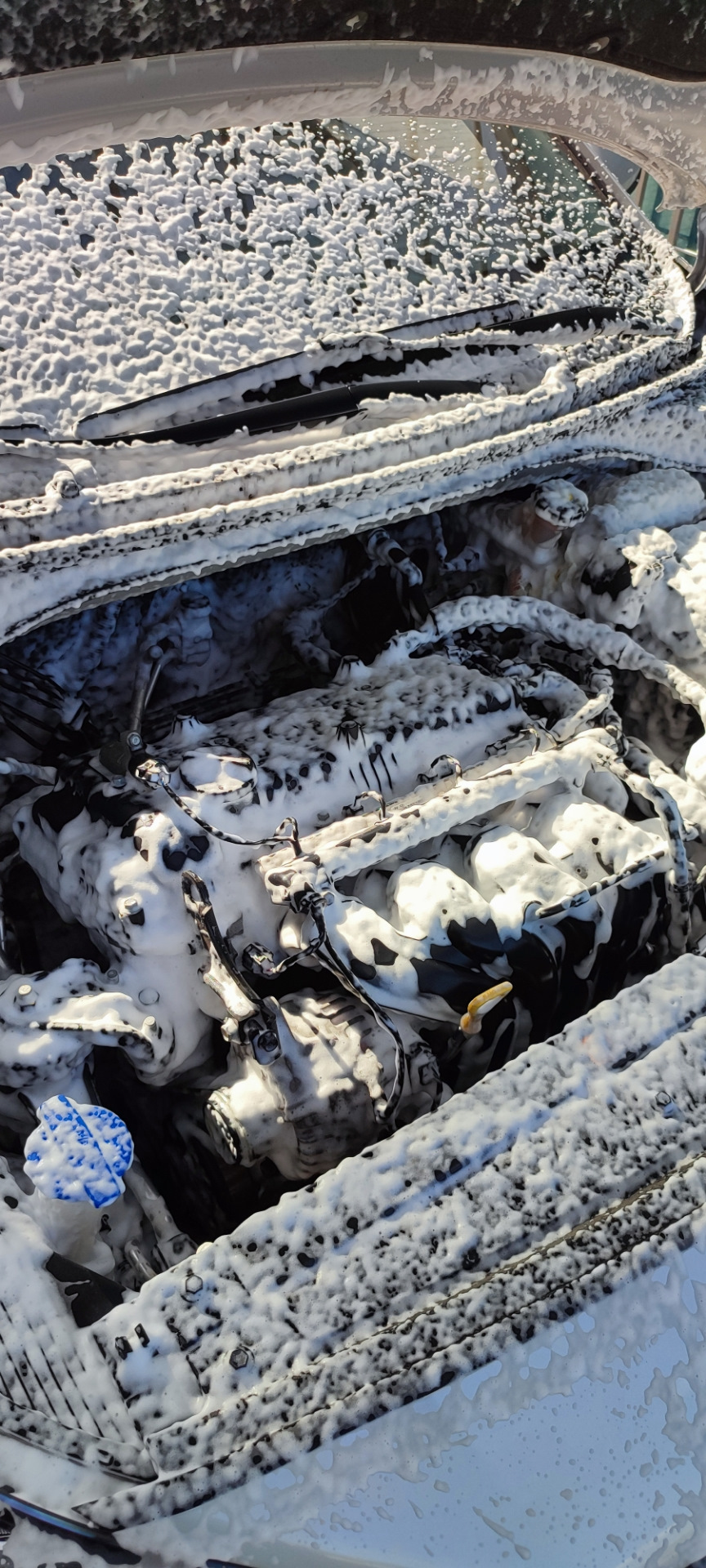 Фото в бортжурнале Hyundai Solaris (2G)
