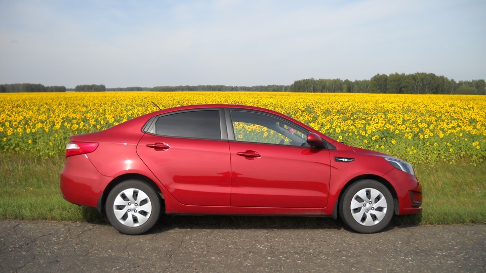 KIA Rio Redgrenade