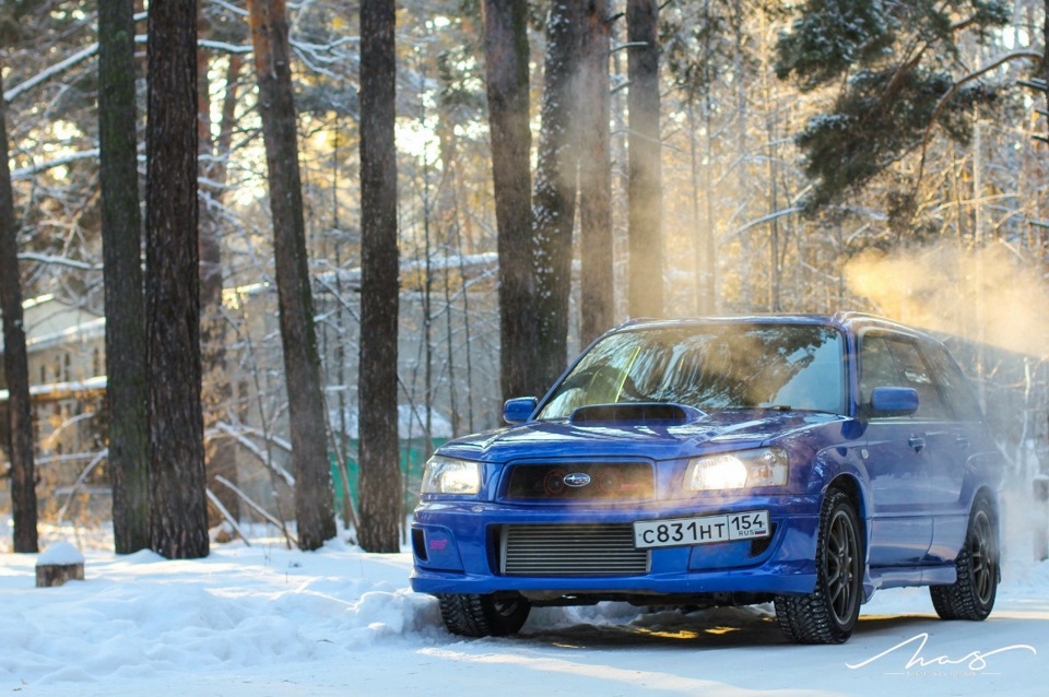 Фото в бортжурнале Subaru Forester (SG)