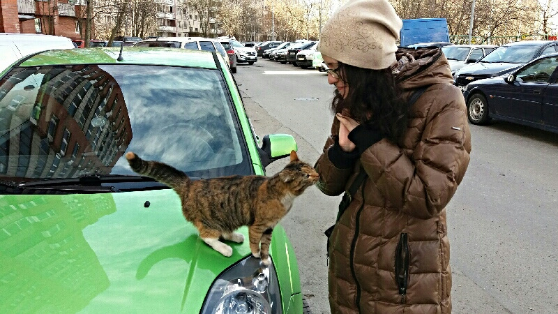 Фото в бортжурнале Ford Fiesta (Mk V)