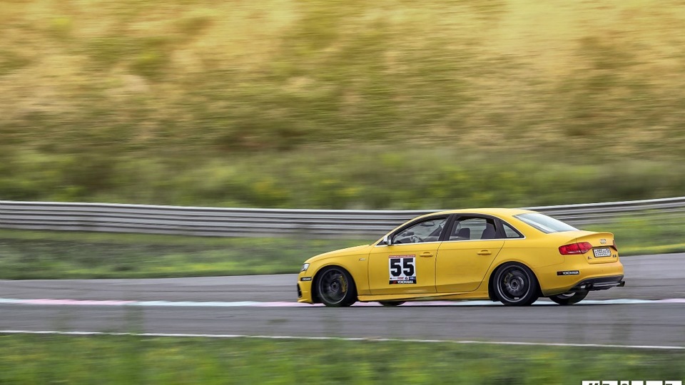 Audi S4 Sunflower