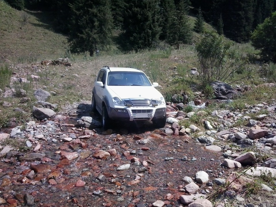 Фото в бортжурнале SsangYong Rexton (1G)