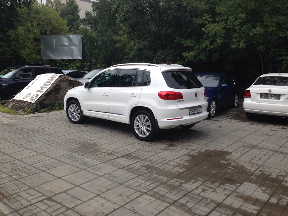 Всего одно фото с лета осталось. — Volkswagen Tiguan (1G)