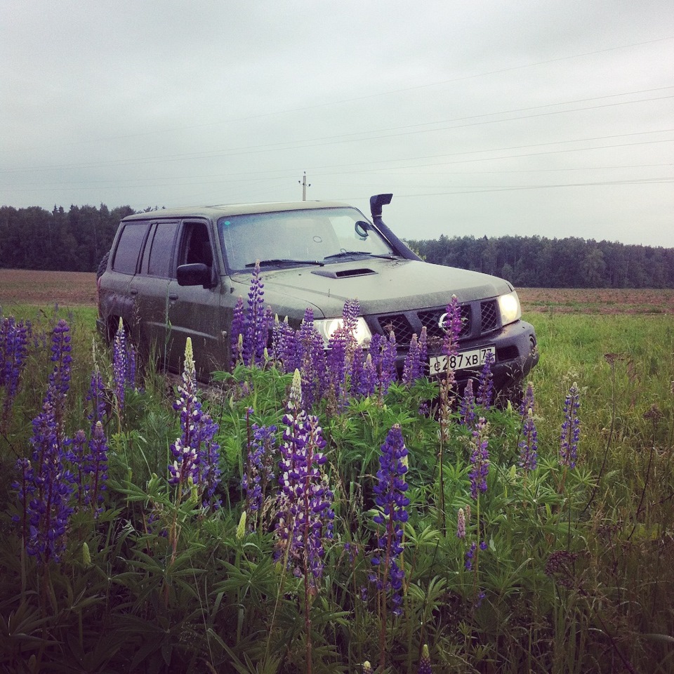 Фото в бортжурнале Nissan Patrol GR II (Y61)
