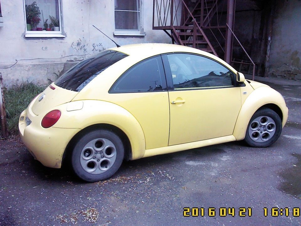 коллега — жуковладелец прислал фото своих очаровашек — Volkswagen New Beetle