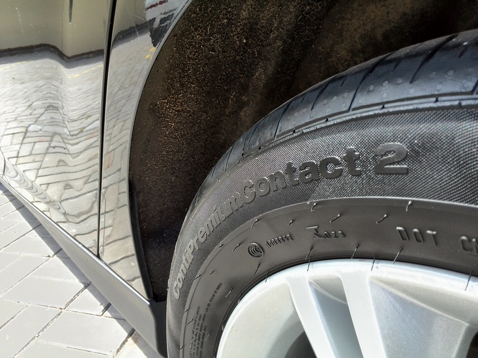 Еще макро — Ford Focus Hatchback III