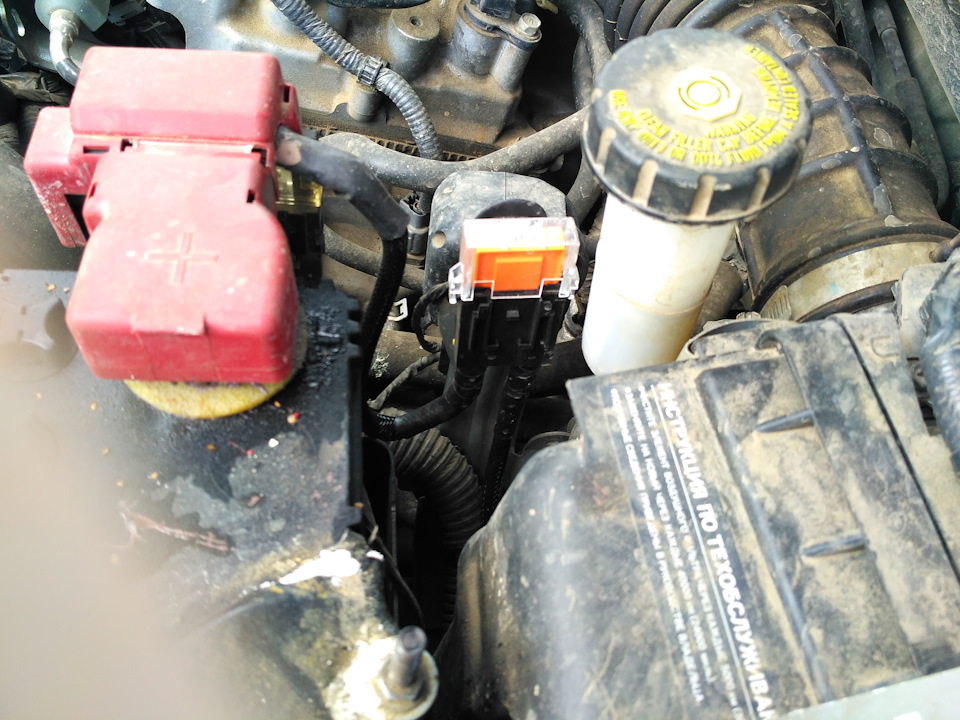 Фото в бортжурнале Nissan Juke (1G)