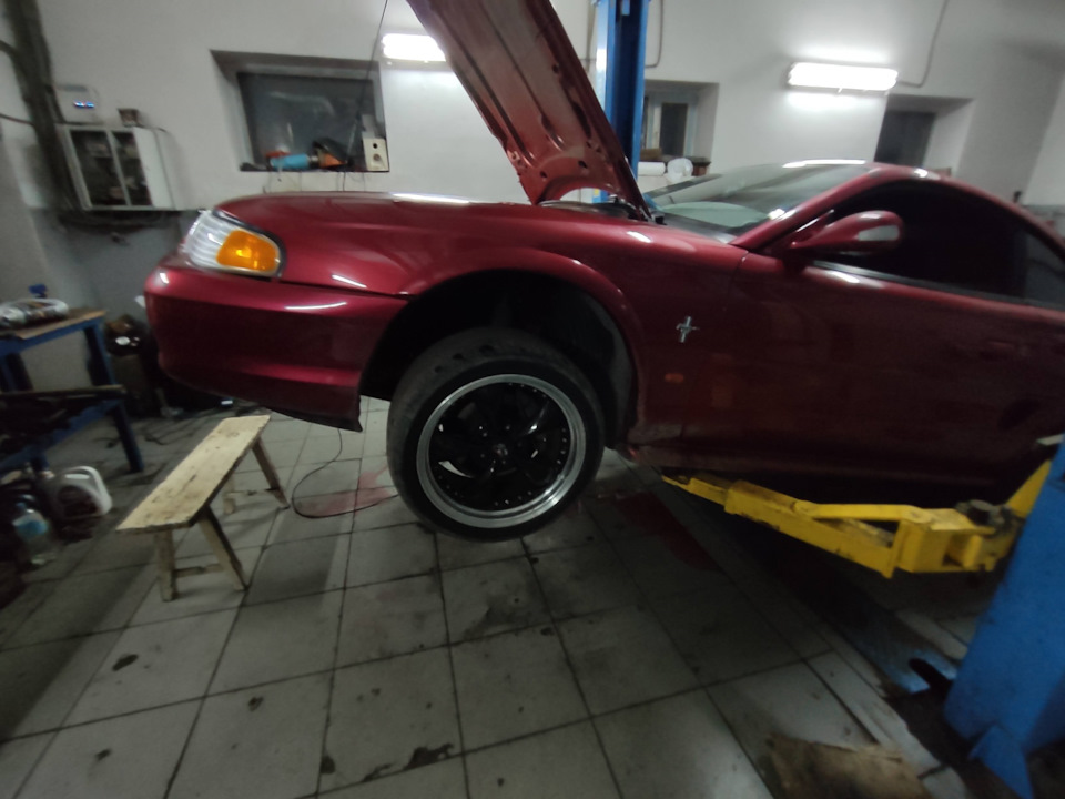 Конь встал на дыбы. — Ford Mustang (4G)