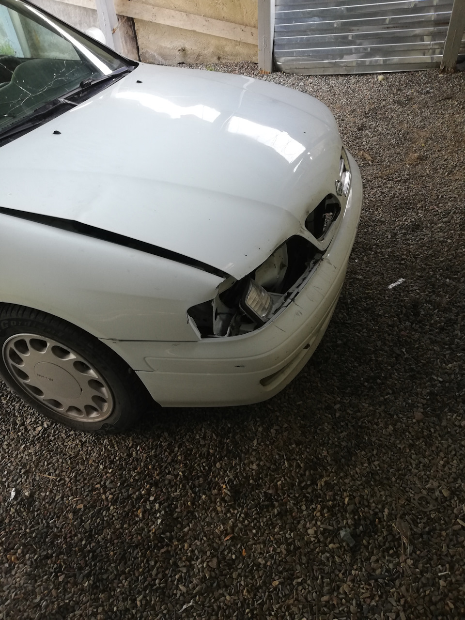 Фото дома — Nissan Primera (P11)