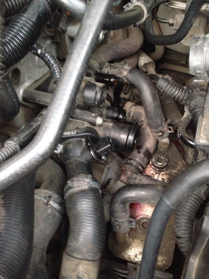 Фото в бортжурнале Volkswagen Golf Mk4