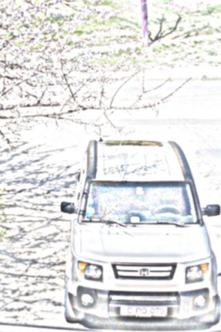 саура2 — Honda Element