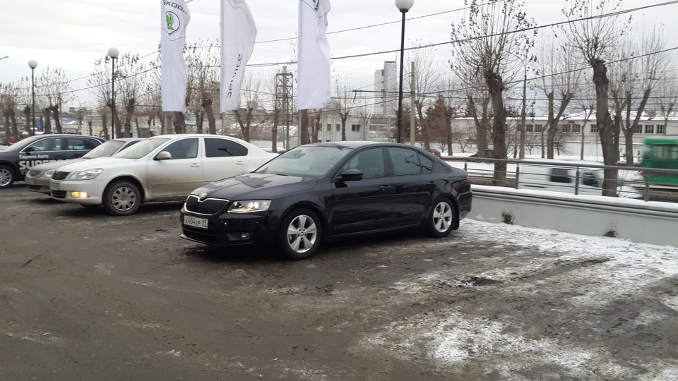 Возле ОД Европа-Авто г.Екатеринбург — Skoda Octavia A7 Mk3