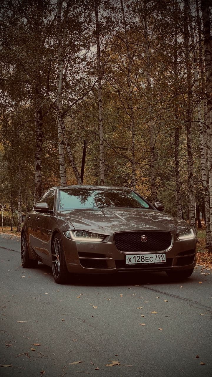 Фото в бортжурнале Jaguar XE