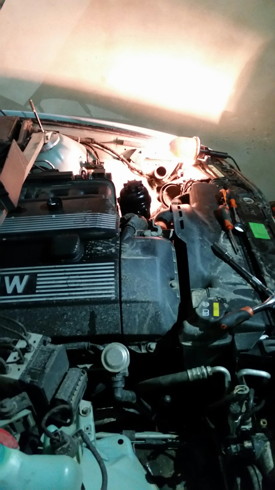 Фото в бортжурнале BMW 5 series (E39)