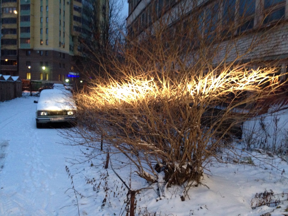 Фото в бортжурнале УАЗ 31519