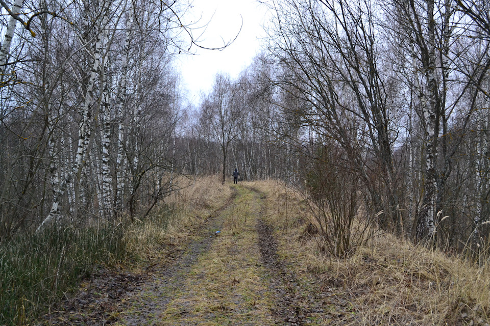 Photo from the logbook ZAZ 968
