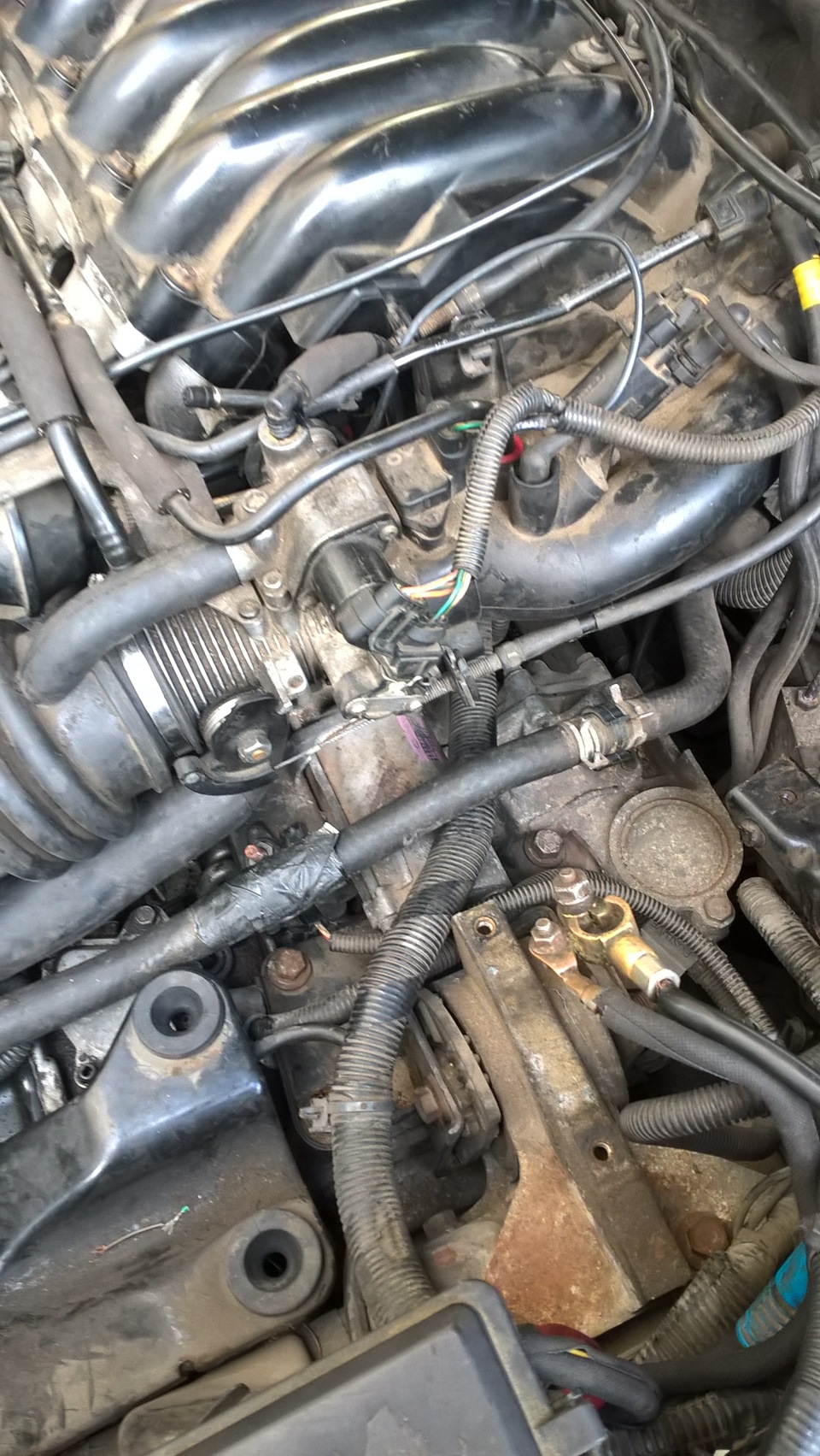 Фото в бортжурнале Rover 75