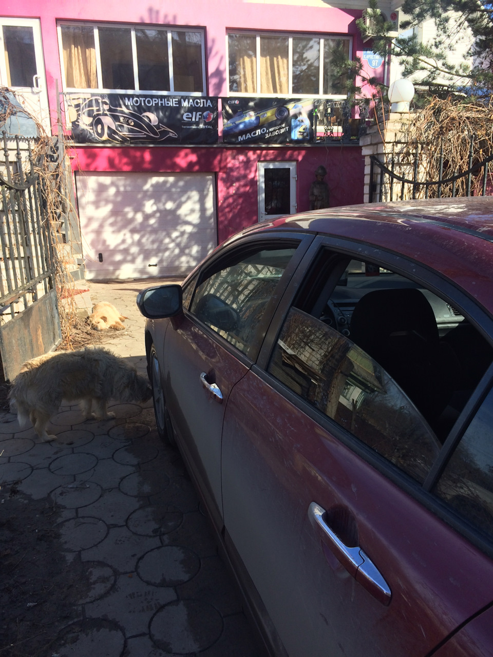 Фото в бортжурнале Honda Civic 4D (8G)