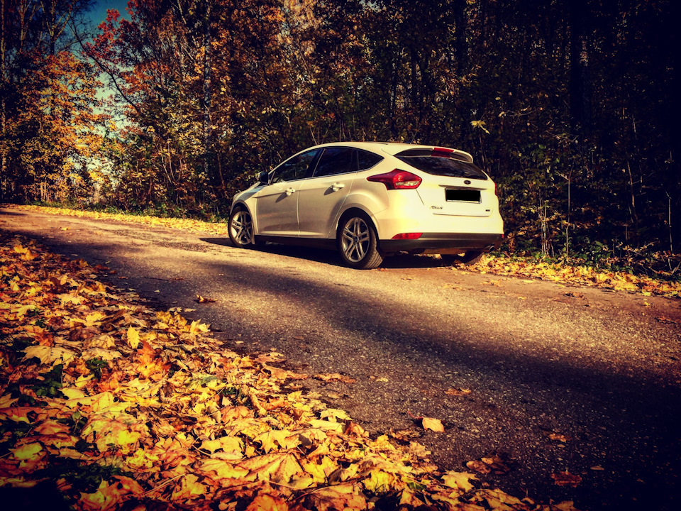 Фото в бортжурнале Ford Focus Hatchback III