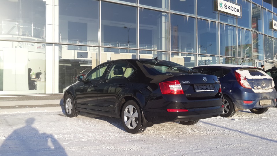 Фото в бортжурнале Skoda Octavia A7 Mk3