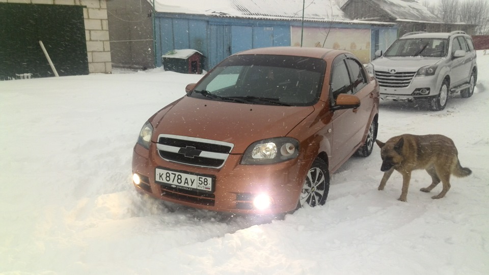 Фото в бортжурнале Chevrolet Aveo Sedan (1G)