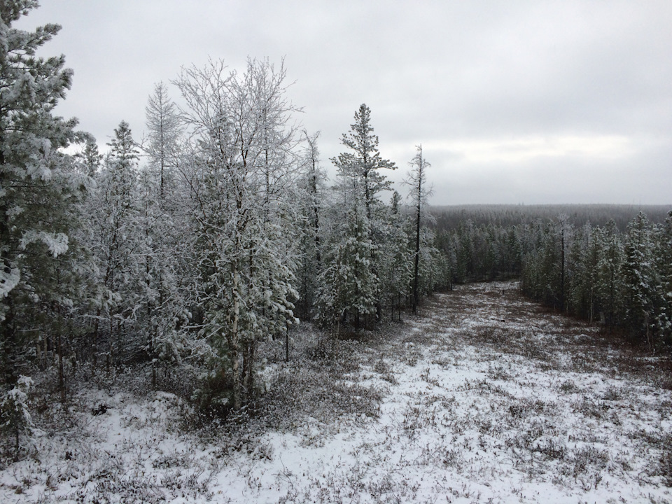 Photo from the logbook UAZ 31512