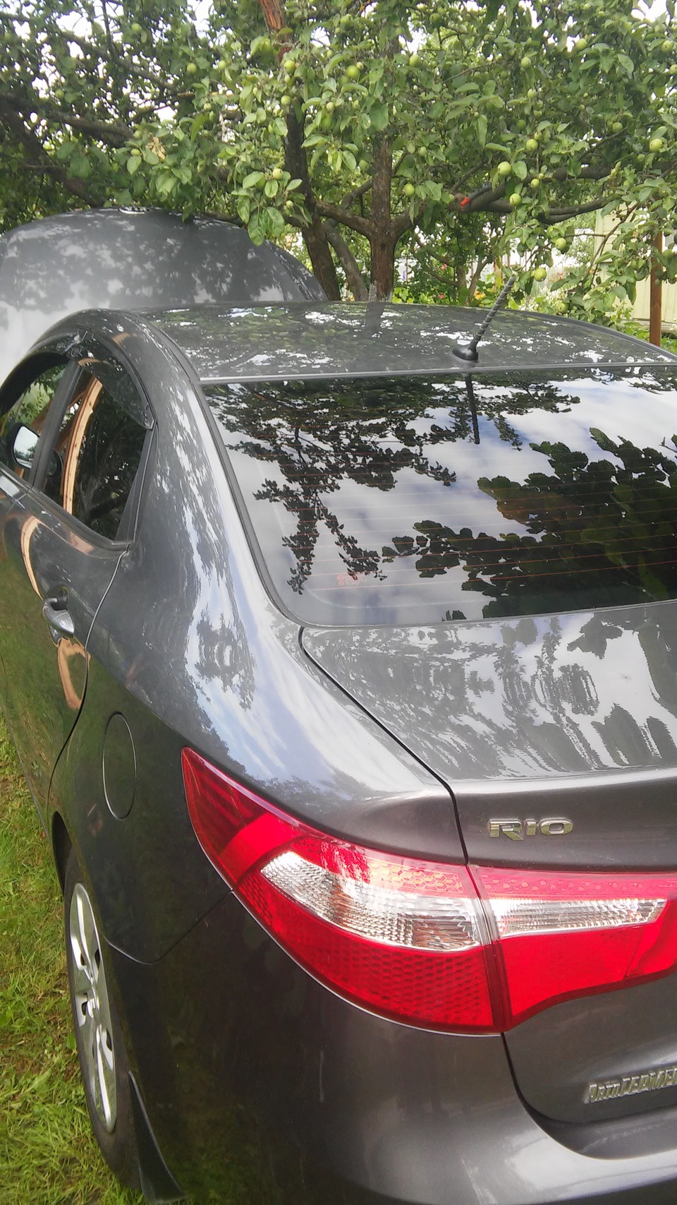Заодно и помыл малыху — KIA Rio (3G)
