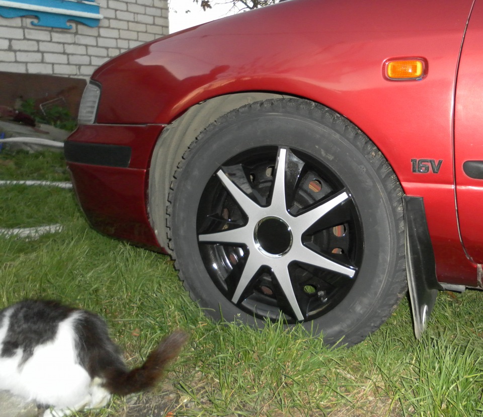 Фото в бортжурнале Nissan Primera (P11)