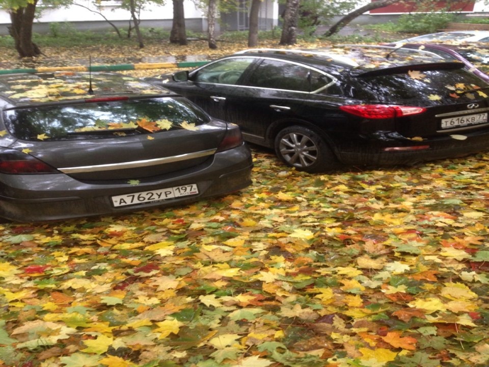 Фото в бортжурнале Opel Astra H GTC