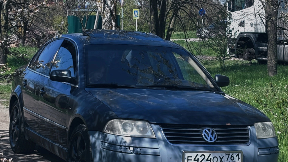 Volkswagen Passat скумбрия