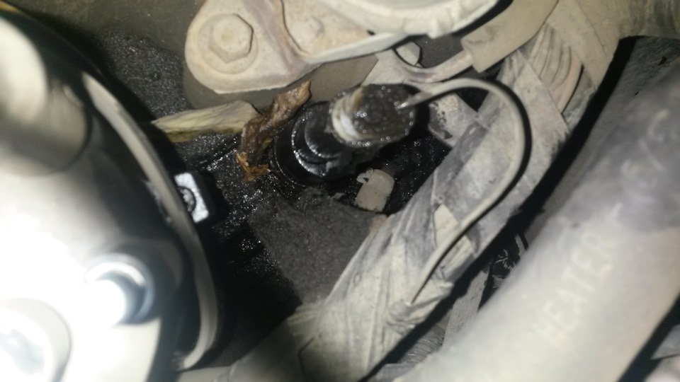 Фото в бортжурнале Jeep Grand Cherokee (ZJ)