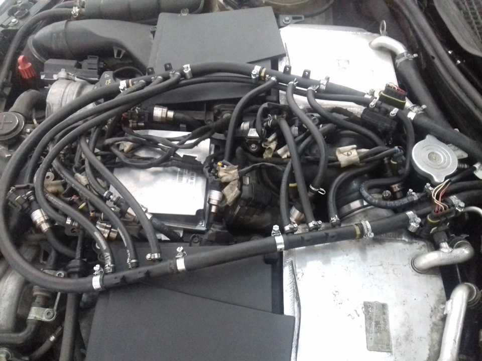 Фото в бортжурнале Mercedes-Benz S-Class (W220)
