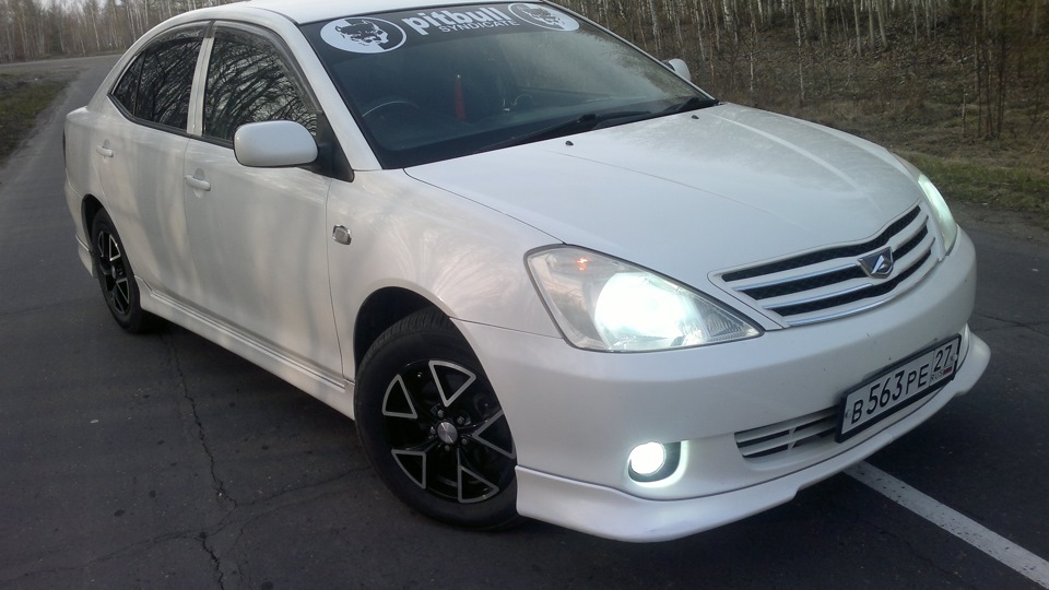 Toyota Allion pittbull