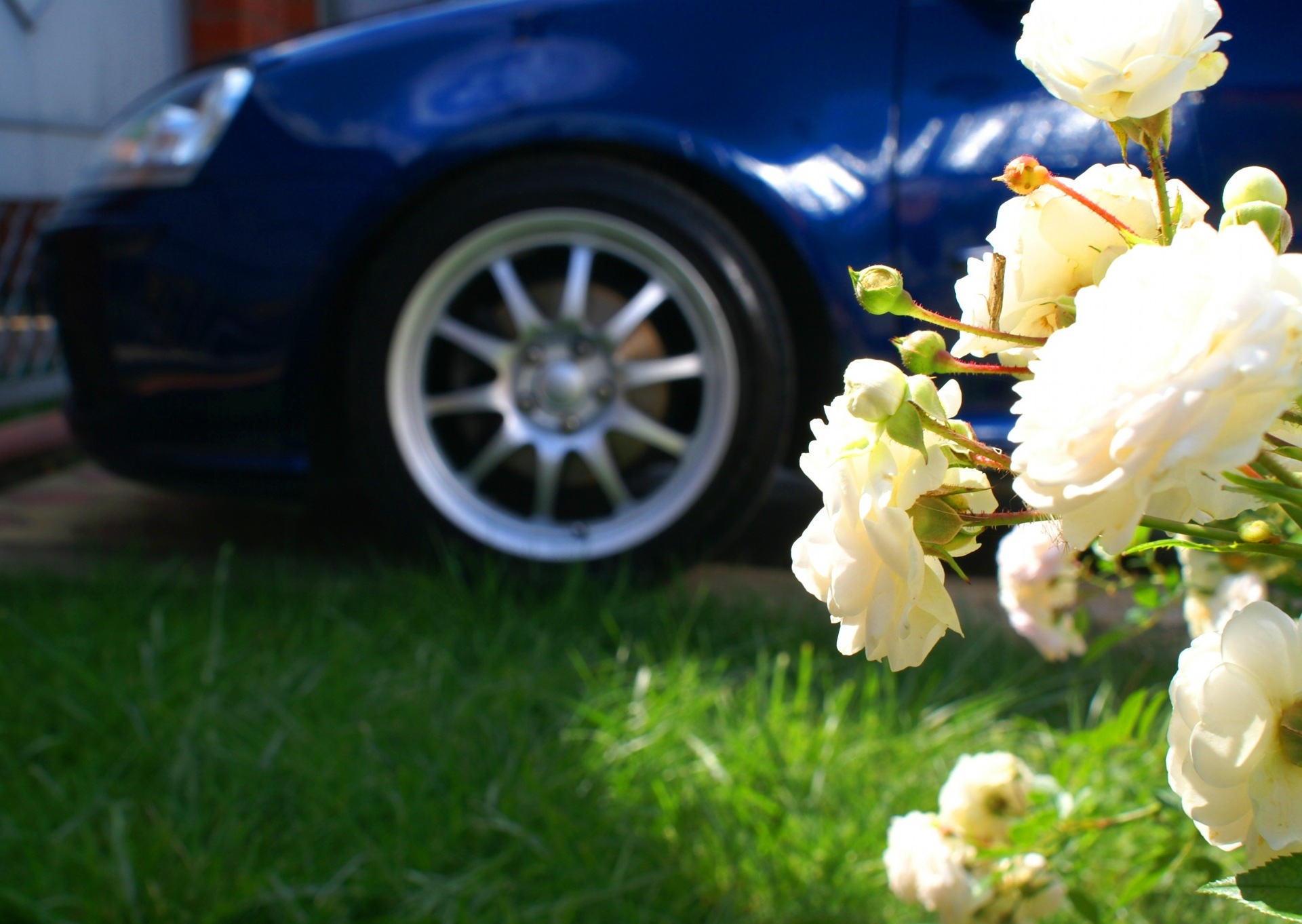 Фото в бортжурнале Volkswagen Golf Mk5